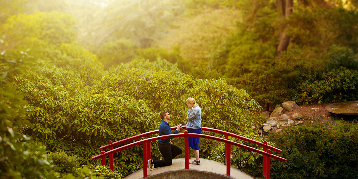 surprise-proposal-kubota-gardens